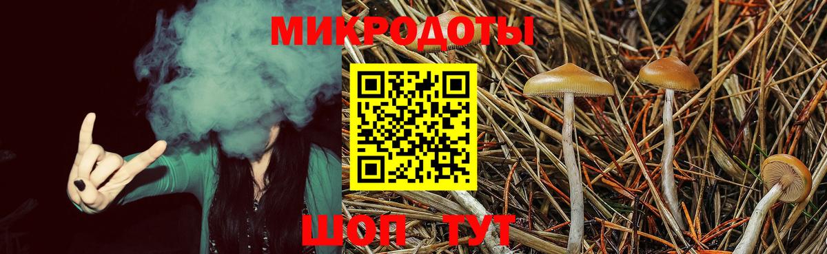 Псилоцибиновые грибы ЛСД  Вход с VPN  Галлюциногенные грибы ЛСД  Балашов 